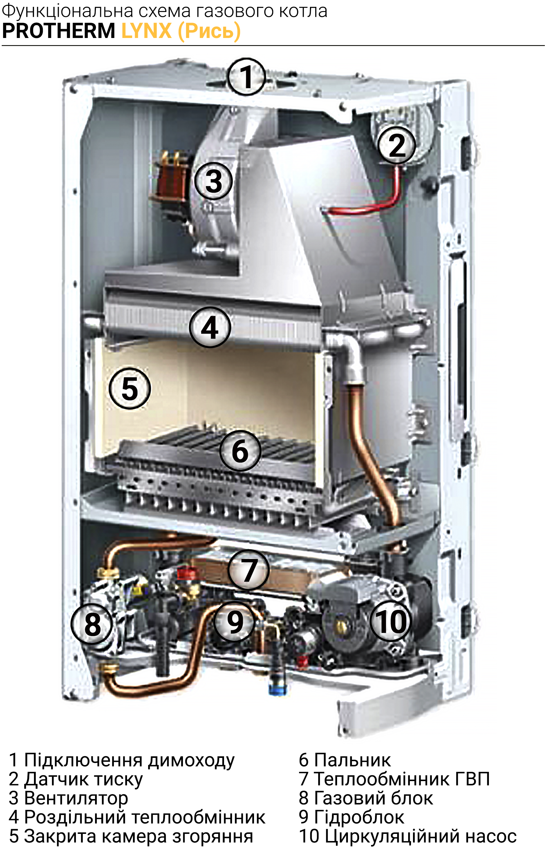 Котел газовый настенный Protherm Рысь HK 28 (0010015363 Protherm) — фото 2